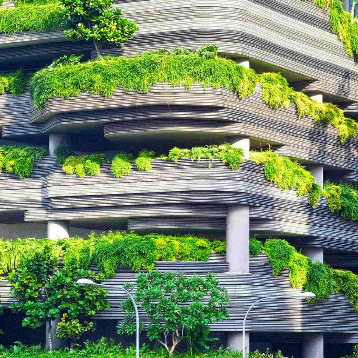 Green vertical gardens on a modern building with layered architecture for a sustainable office environment.