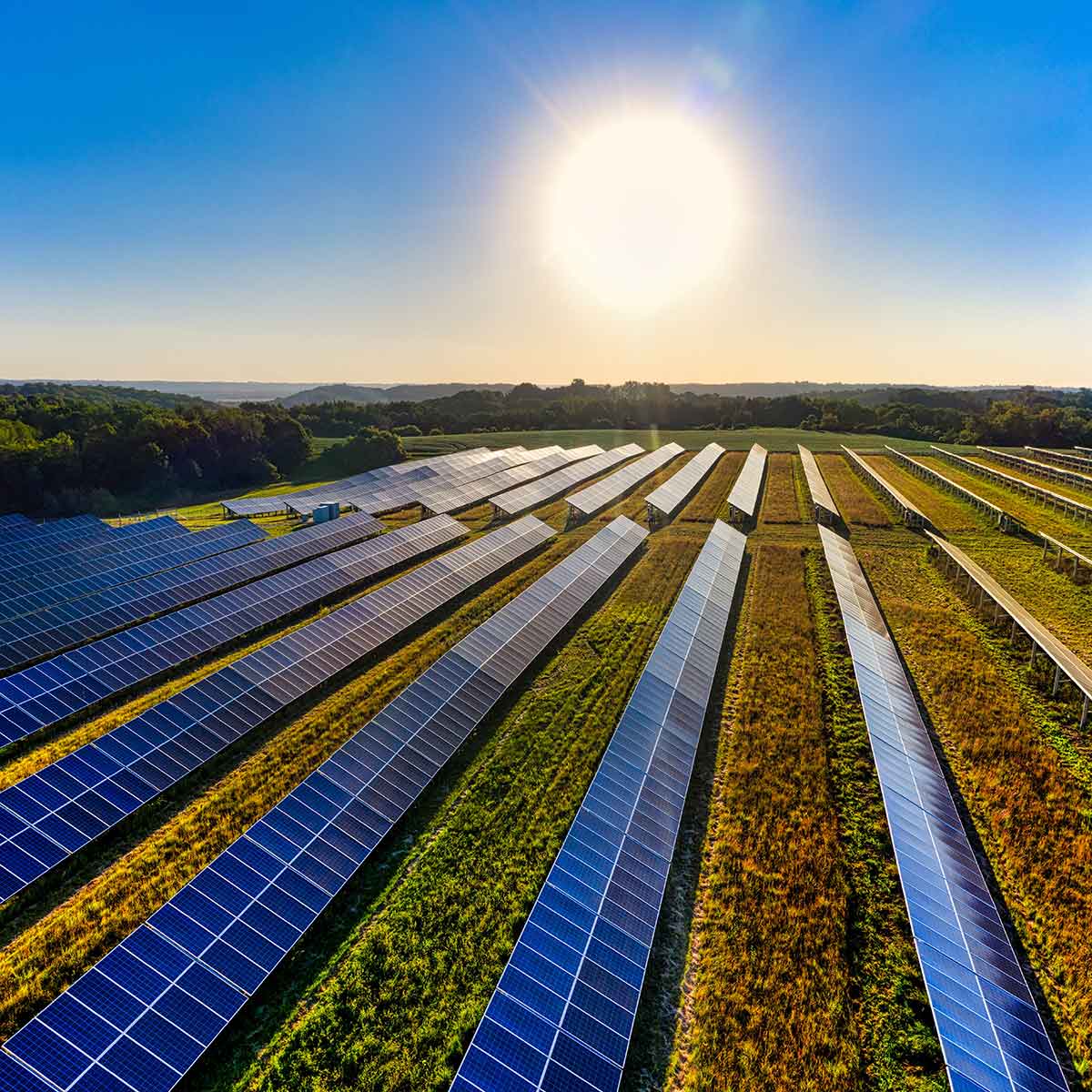 Aerial view of a solar farm with rows of solar panels under a bright sun.