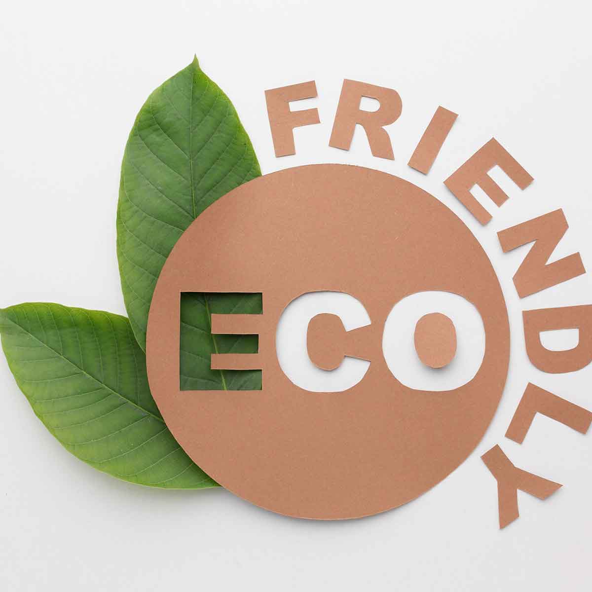 Eco-friendly graphic with leaves and cut-out letters spelling 'ECO FRIENDLY'