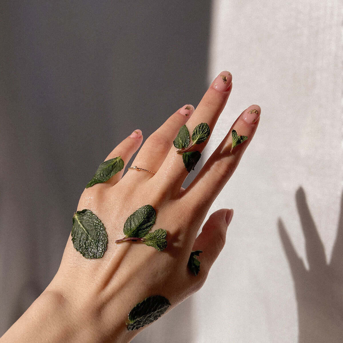 A hand adorned with leaves, symbolizing eco-awareness and a connection to nature.