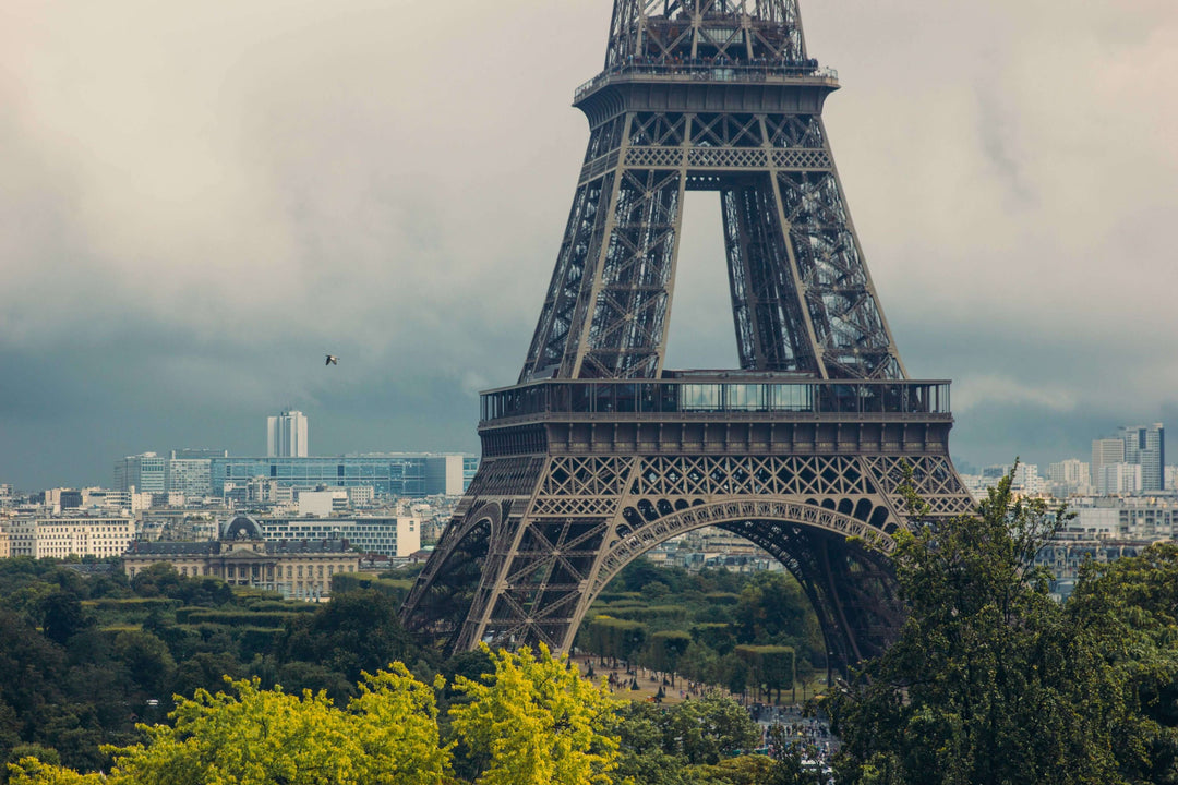 View of the Eiffel Tower in Paris, framed by green trees and a cloudy sky, showcasing architectural grandeur.