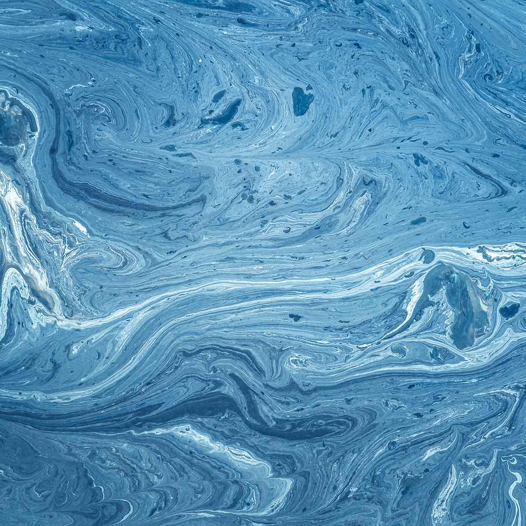 Why Does Mucilage (Sea Saliva) Form?