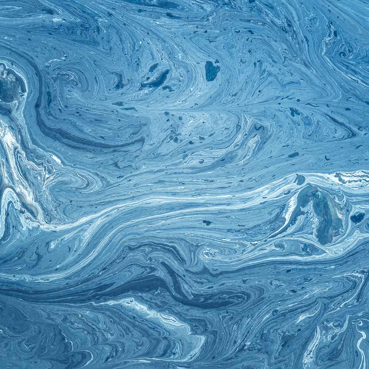 Why Does Mucilage (Sea Saliva) Form?