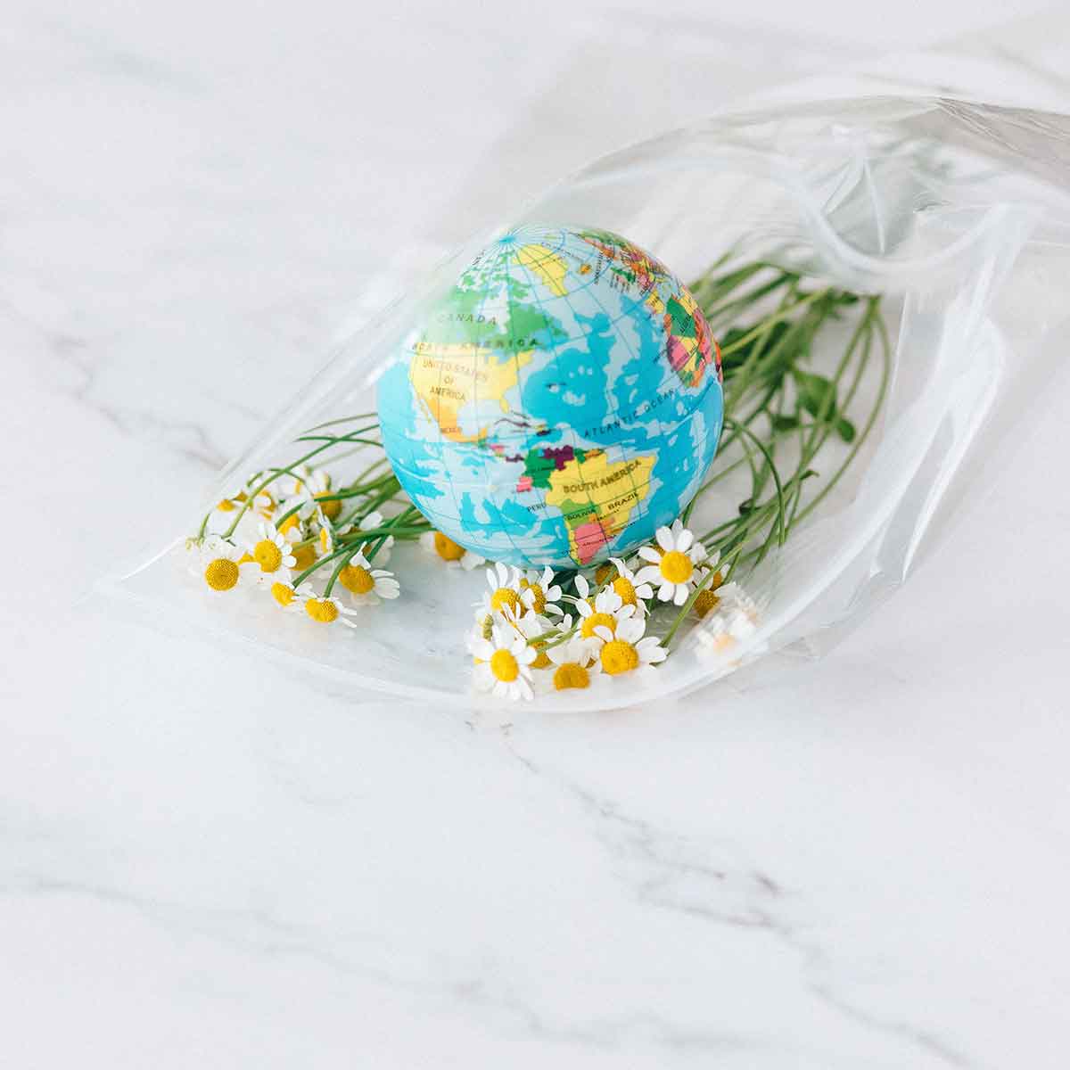 A globe surrounded by small white daisies, symbolizing the connection between nature and the planet.