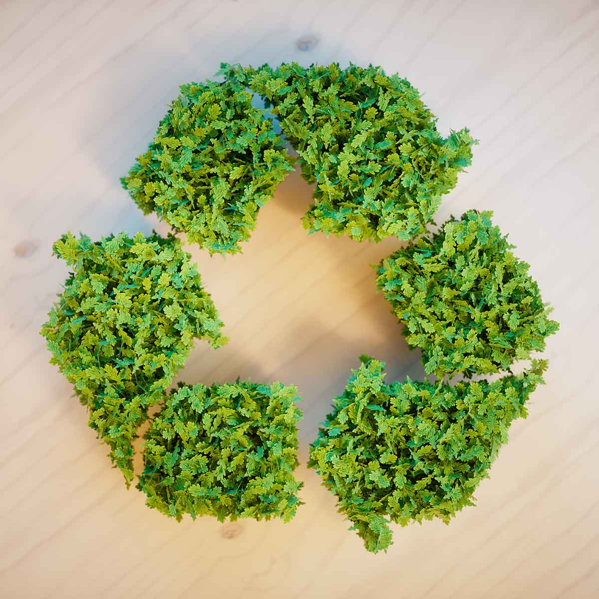 Green foliage arranged in a recycling symbol, promoting zero waste and sustainability themes.