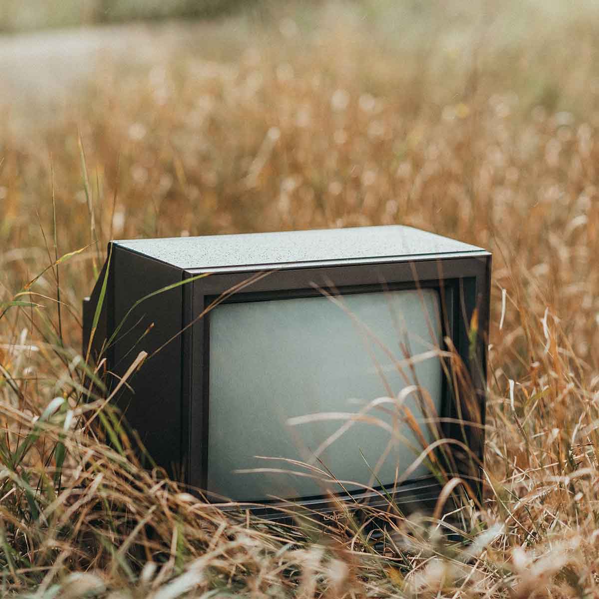 Old abandoned television set surrounded by tall grass in a natural environment.