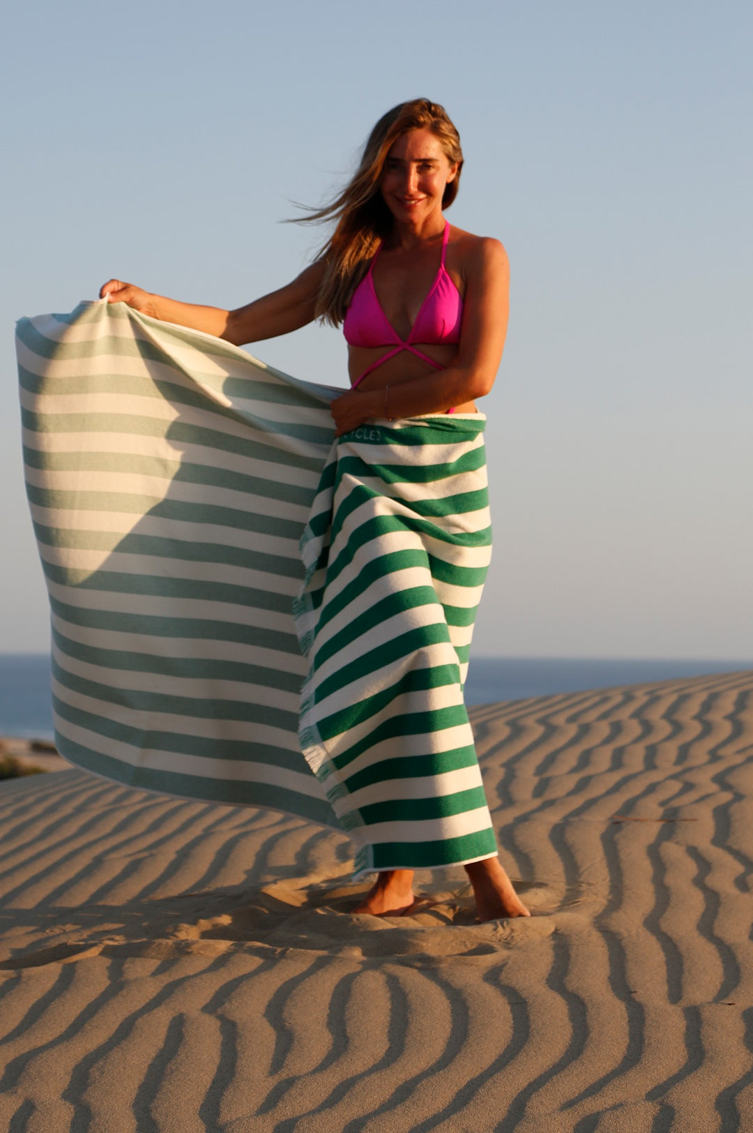 Delmor Lime Beach Towel